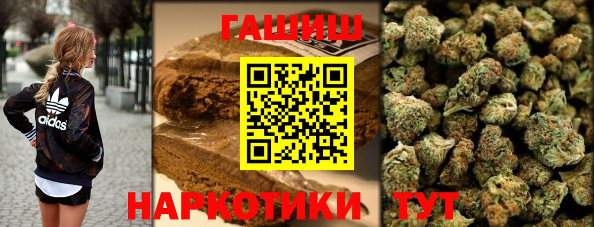 ГАШ Premium Тула