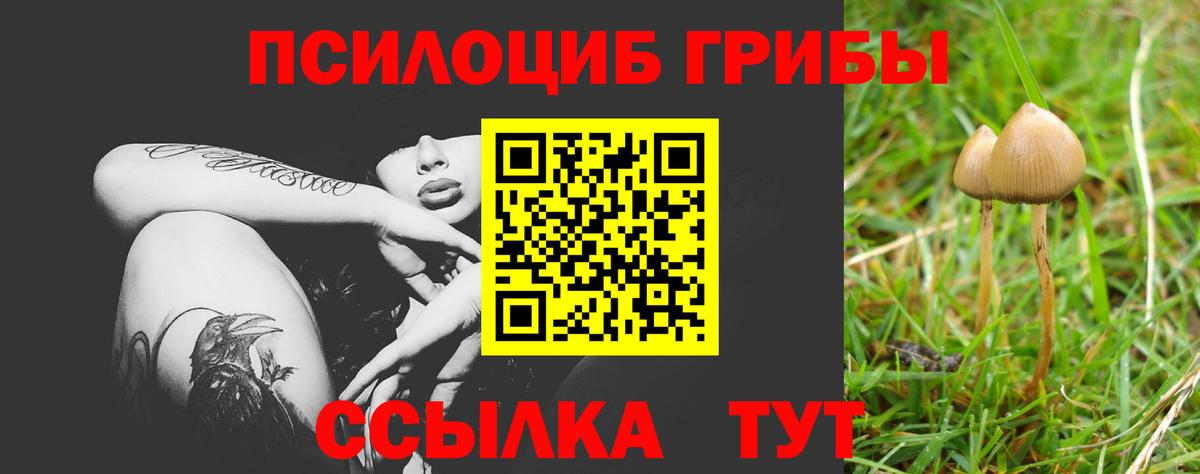 Галлюциногенные грибы GOLDEN TEACHER  Вход с VPN  Тула 